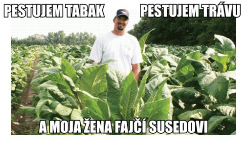 JE TO V RODINE