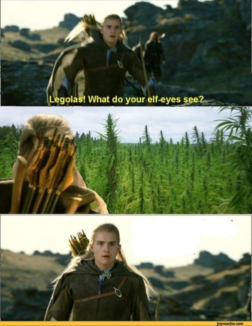 Legolas! Čo vidia tvoje elfské oči?